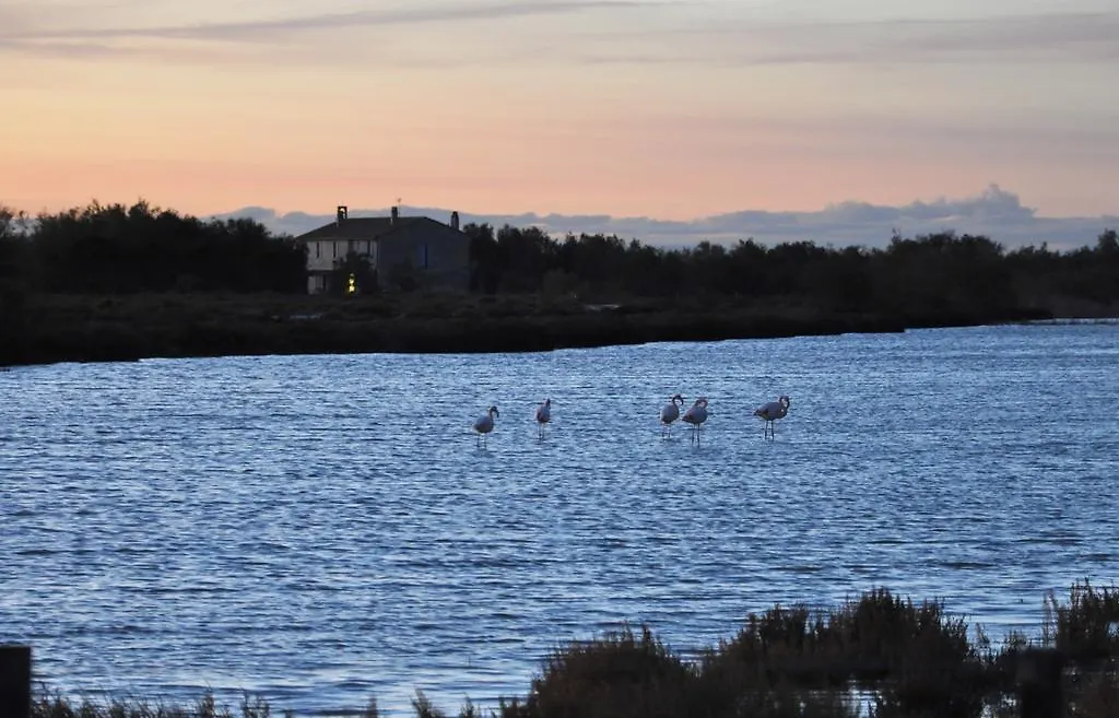 Bed & Breakfast Mas Bardouine Bed and Breakfast Saintes-Maries-de-la-Mer